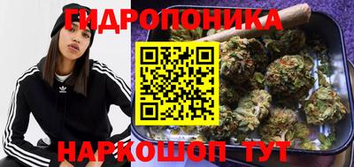 СК Нягань